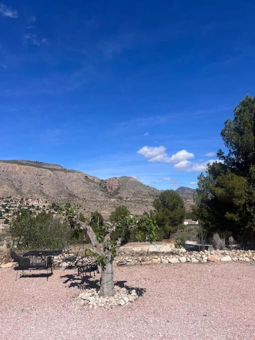 Apartmán Casa Dusena Estrella Hondón de las Nieves Exteriér fotografie
